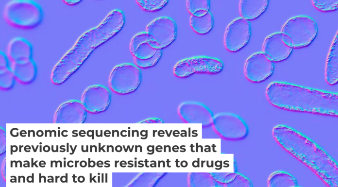 Researchers are using genomics and bioinformatics to reveal antimicrobial resistance before it comes widespread. Kateryna Kon/Science Photo Library via Getty Images